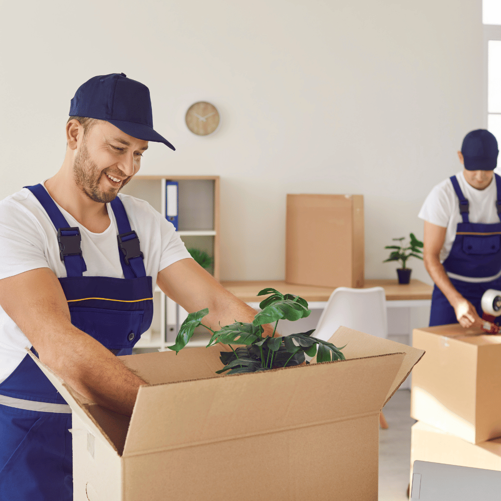 Moving Services in Hamilton