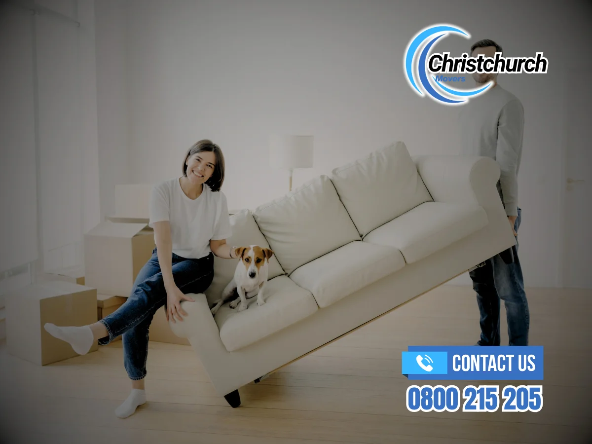 Moving House With Pets in Christchurch: A Practical NZ Guide